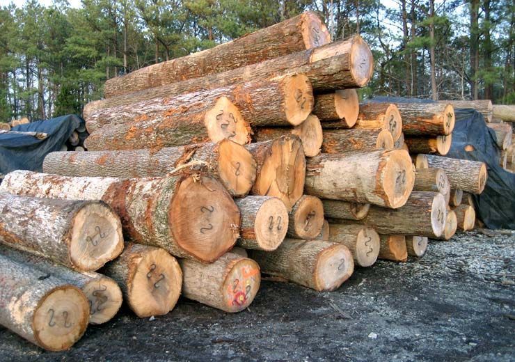 A pile of logs with the numbers 2 and 6 on them