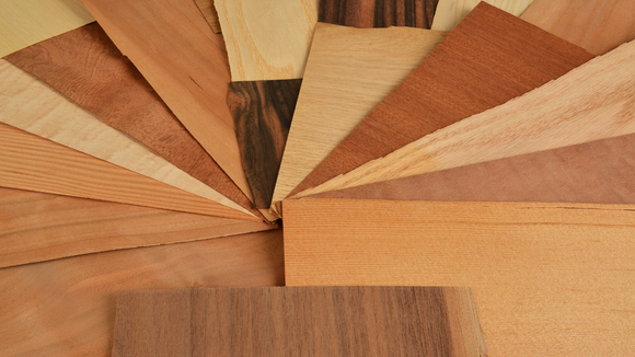 A bunch of different types of wood are arranged in a circle.