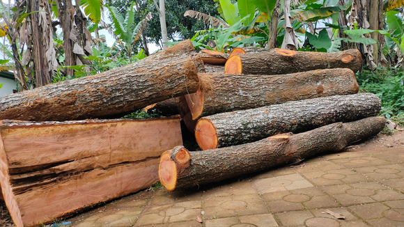 A pile of logs sitting on top of a brick floor.