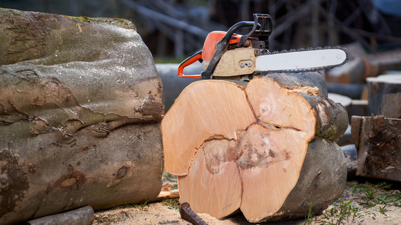 A chainsaw is cutting a large log of wood.