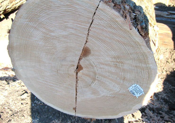 A piece of wood with a sticker on it that says ' s ' on it