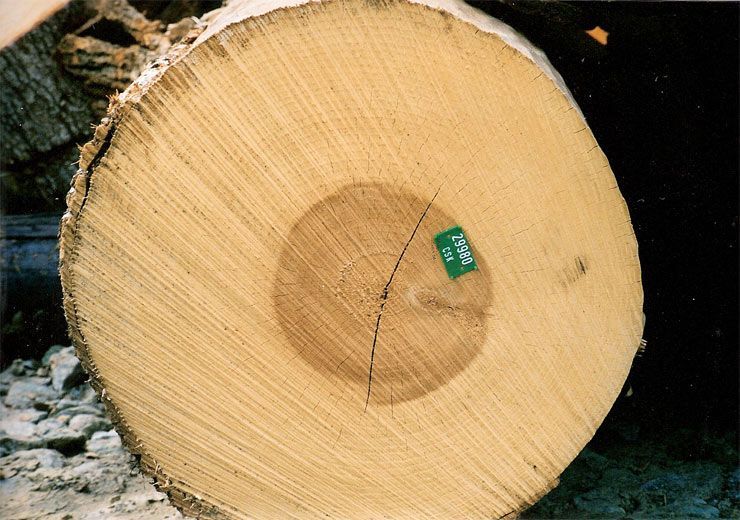 A log with a tag that says twp on it