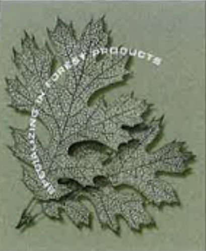 A close up of a maple leaf on a green background.