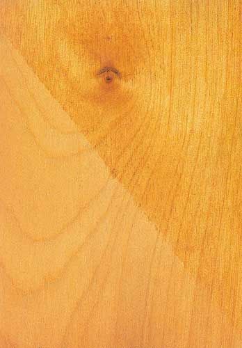 A close up of a piece of wood with a hole in it.