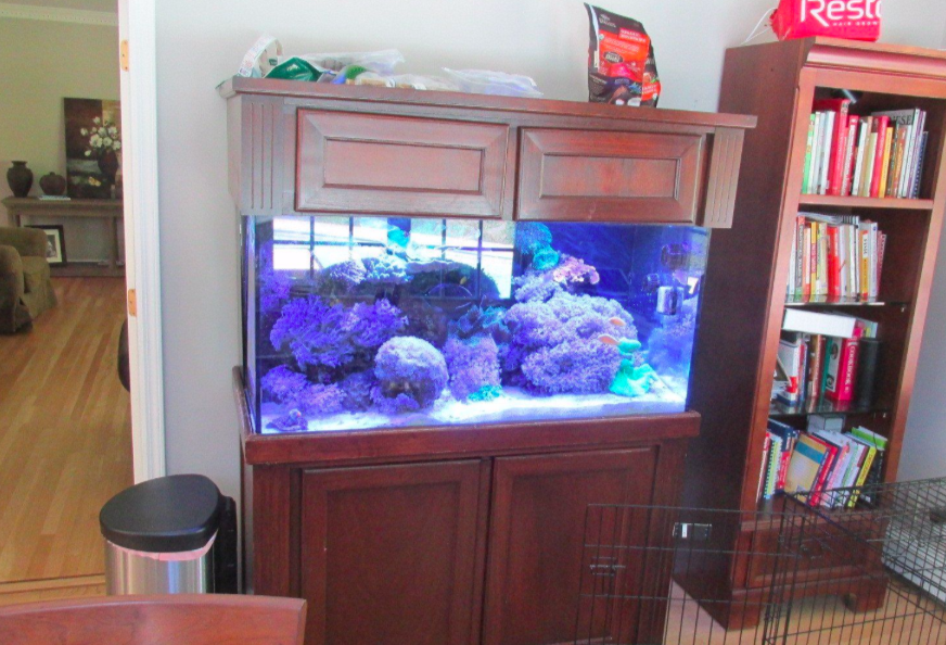 Dining Room with fish tank Before