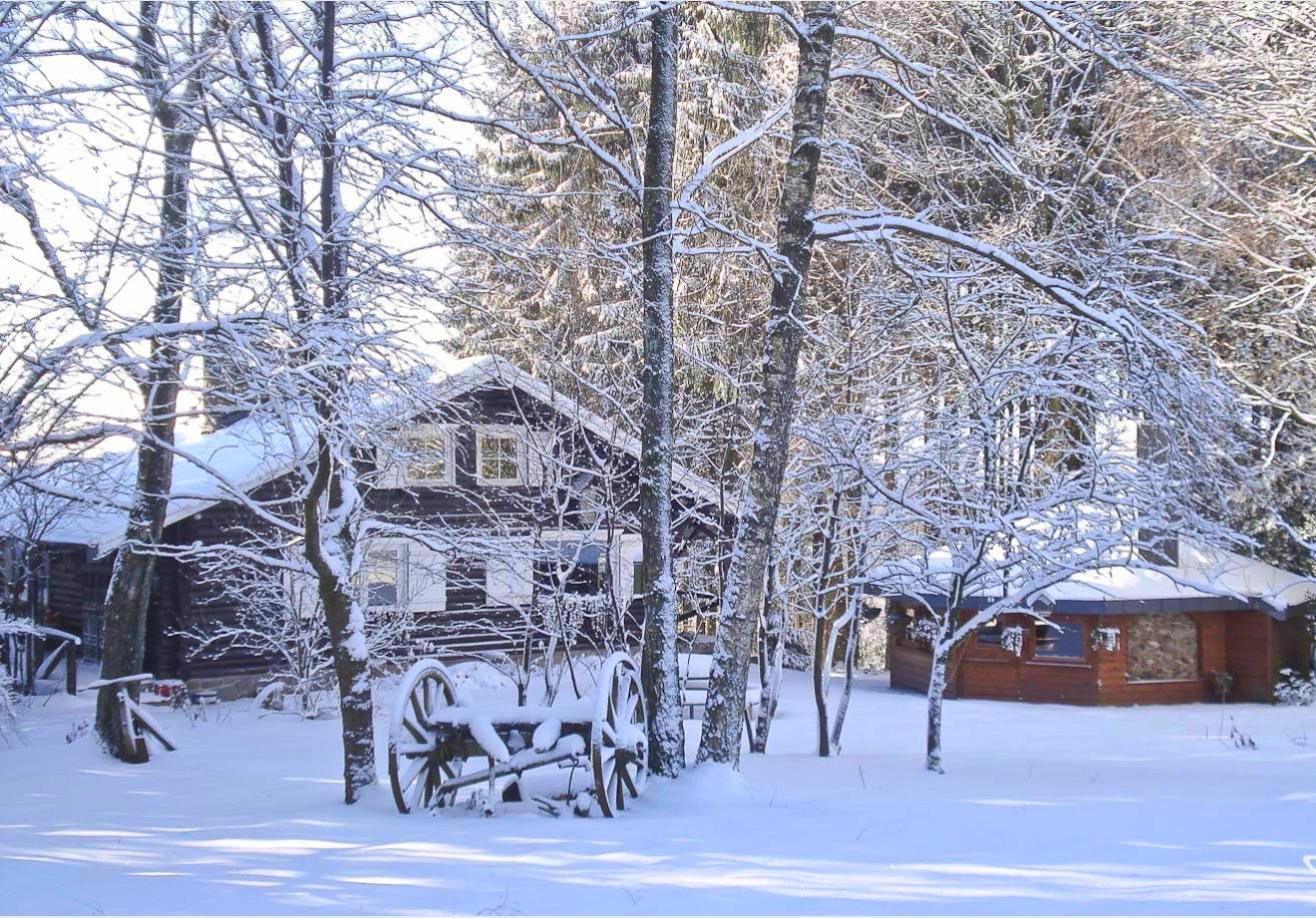 Een besneeuwd bos met bomen bedekt met sneeuw en een huis op de achtergrond