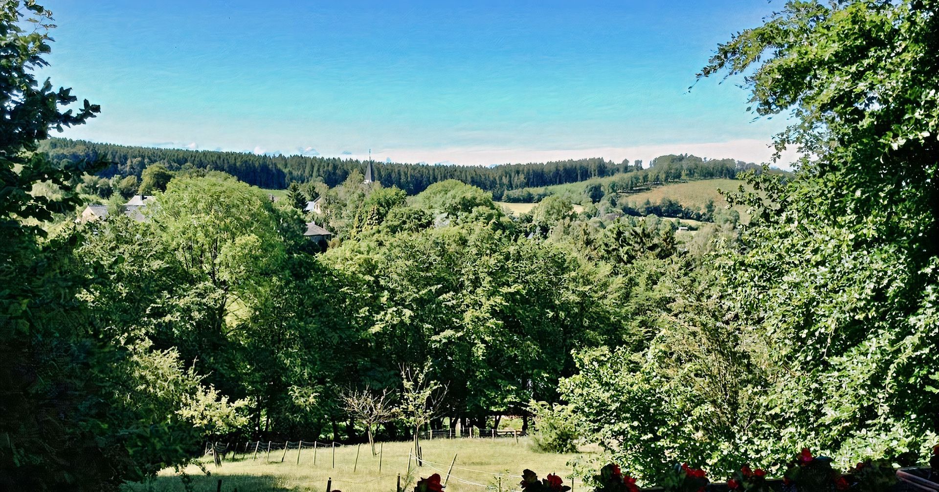 Une vue d'un champ entouré d'arbres par une journée ensoleillée