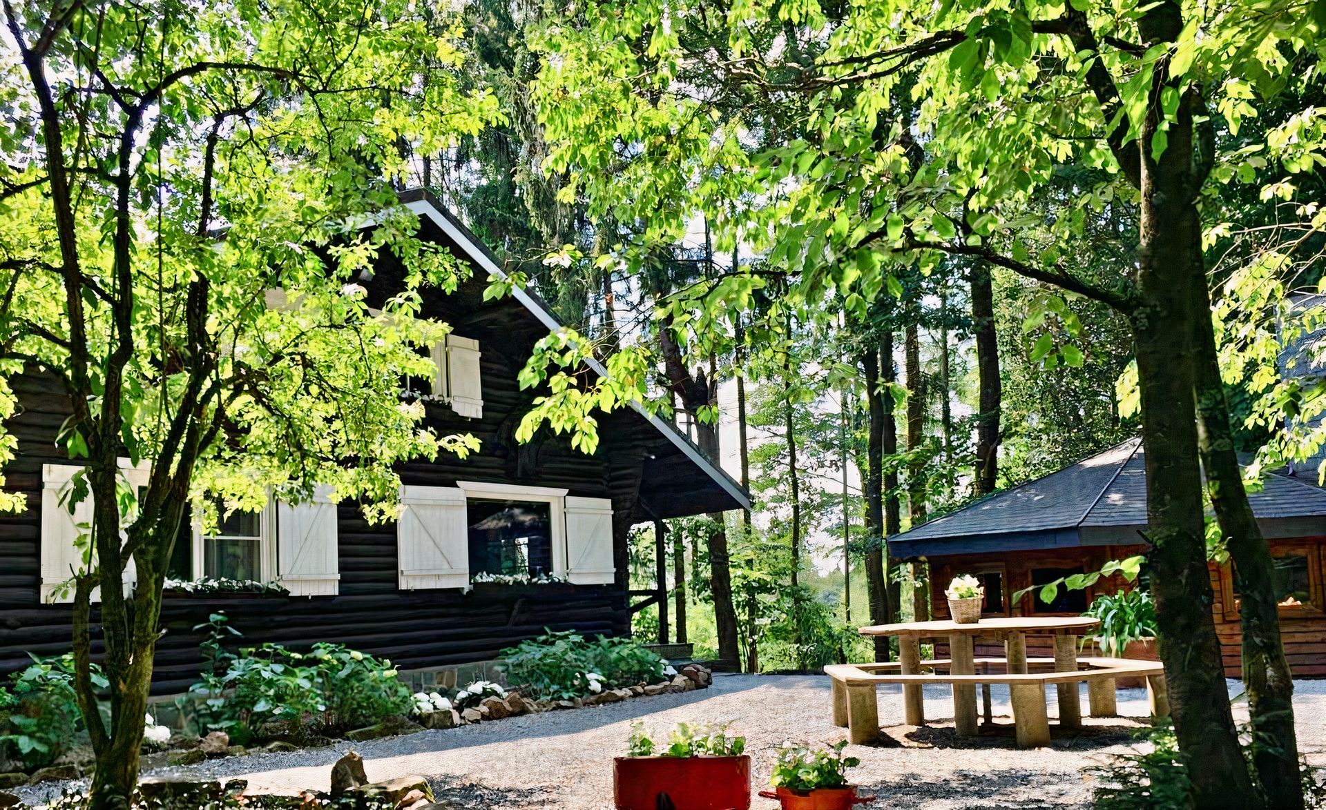 Une cabane en rondins au milieu d'une forêt avec une table de pique-nique devant.