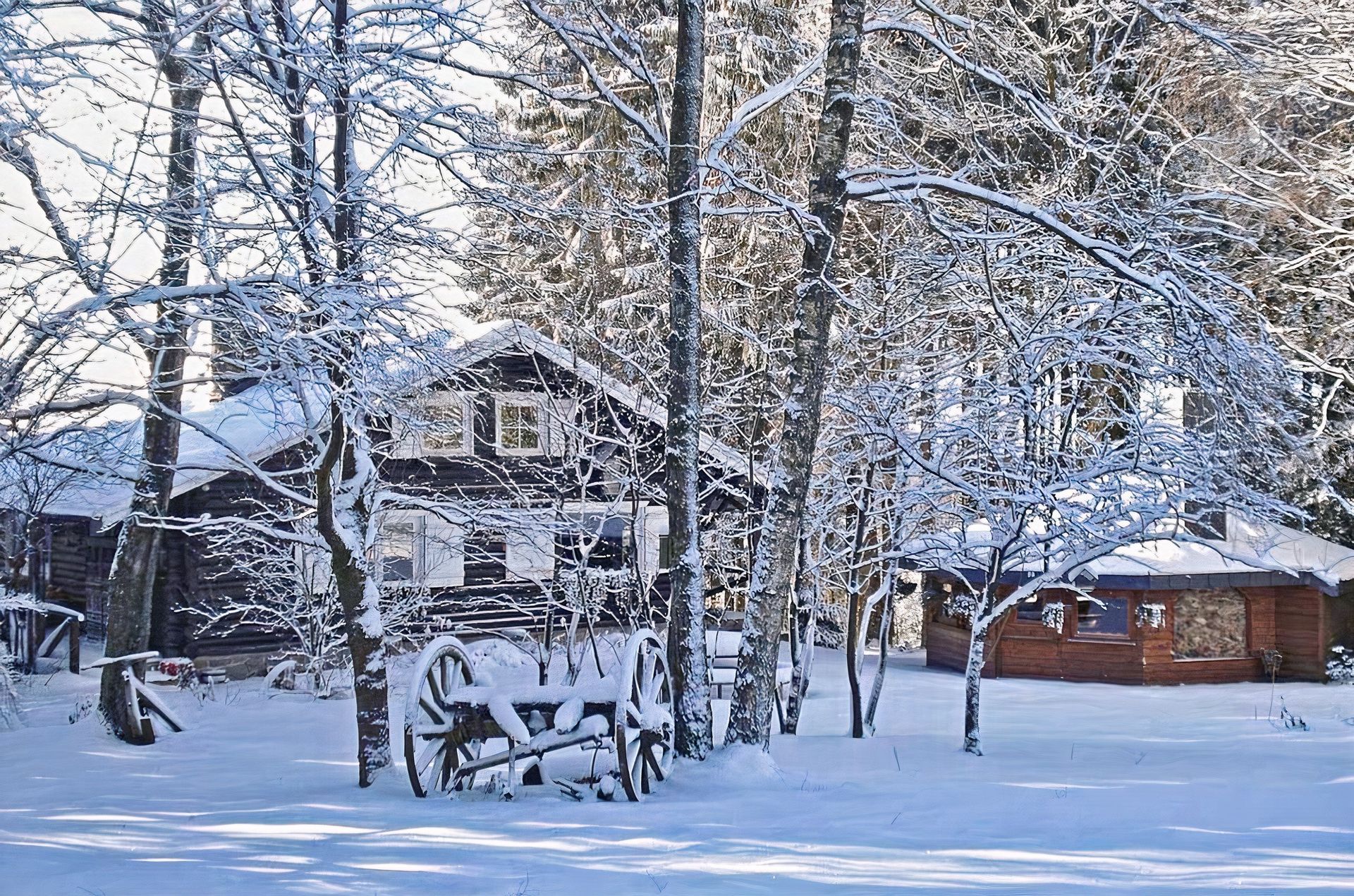 Une forêt enneigée avec une maison en arrière-plan