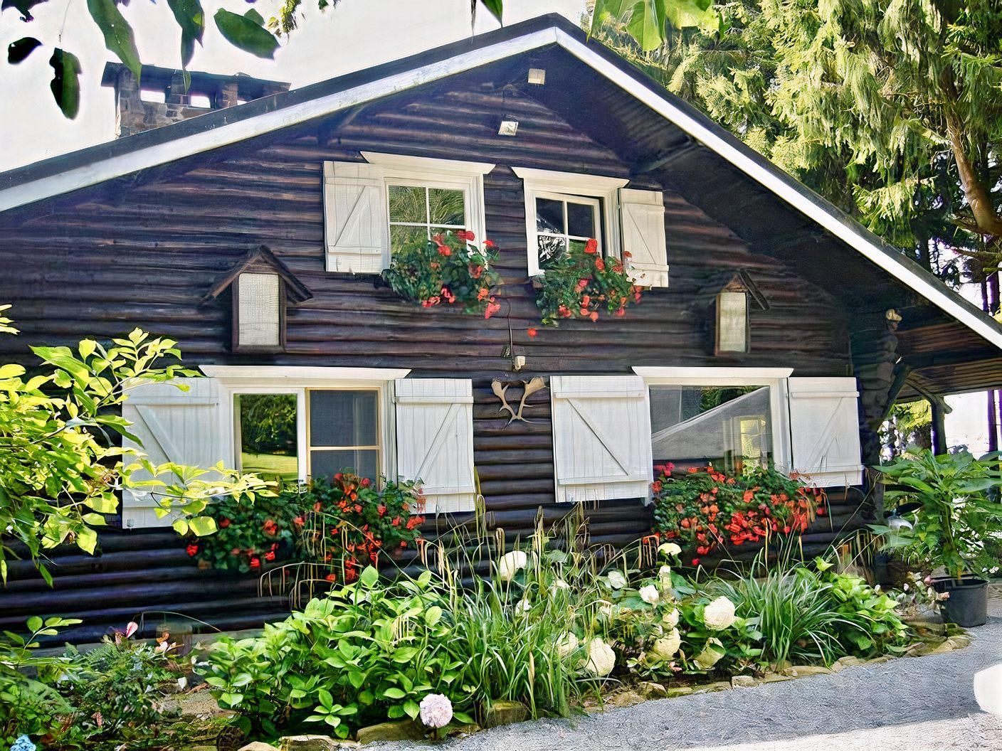 Une maison en bois avec des volets blancs et des fleurs aux fenêtres