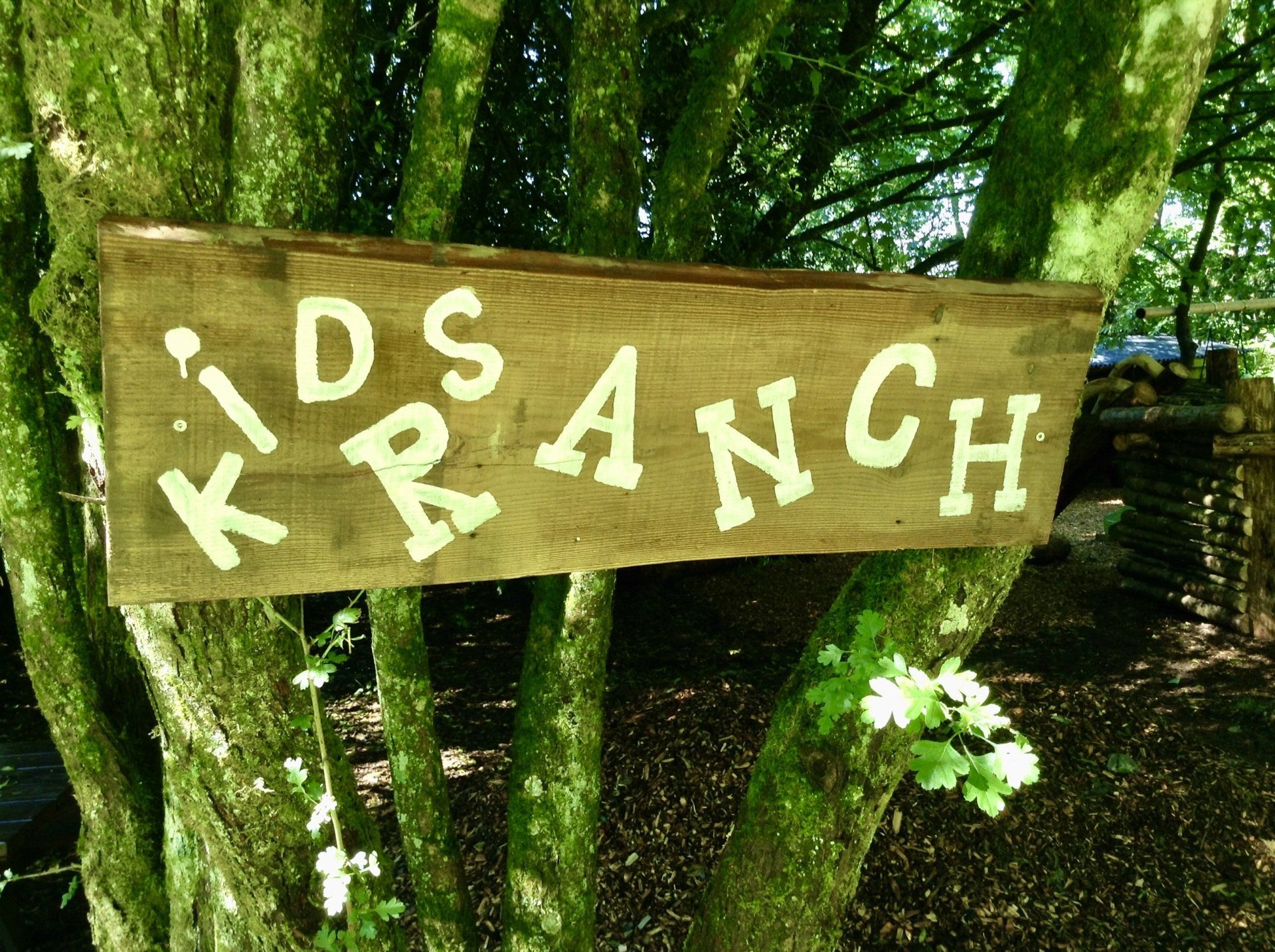 Een houten bord op een boom zegt kinderboerderij
