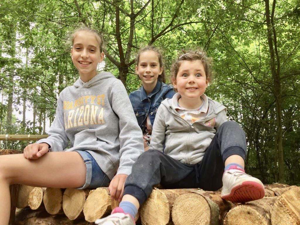 Drie jonge meisjes zitten op een stapel boomstammen in het bos.