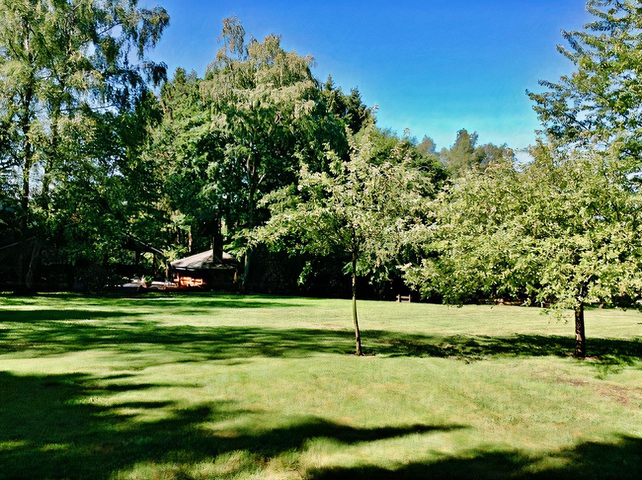 Un champ vert luxuriant avec des arbres et une maison en arrière-plan