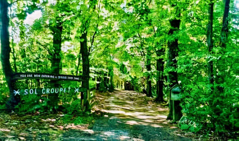 Un chemin de terre traversant une forêt verte luxuriante.
