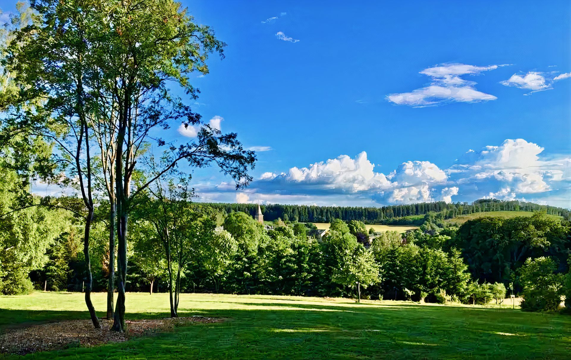 Un champ vert luxuriant avec des arbres au premier plan et un ciel bleu avec des nuages ​​en arrière-plan.
