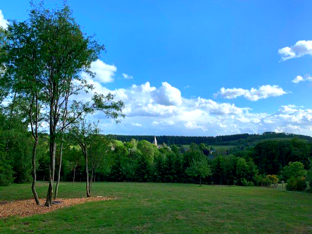 Een weelderig groen veld met bomen en een blauwe lucht