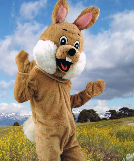 Een bruine konijnenmascotte staat in een veld met gele bloemen