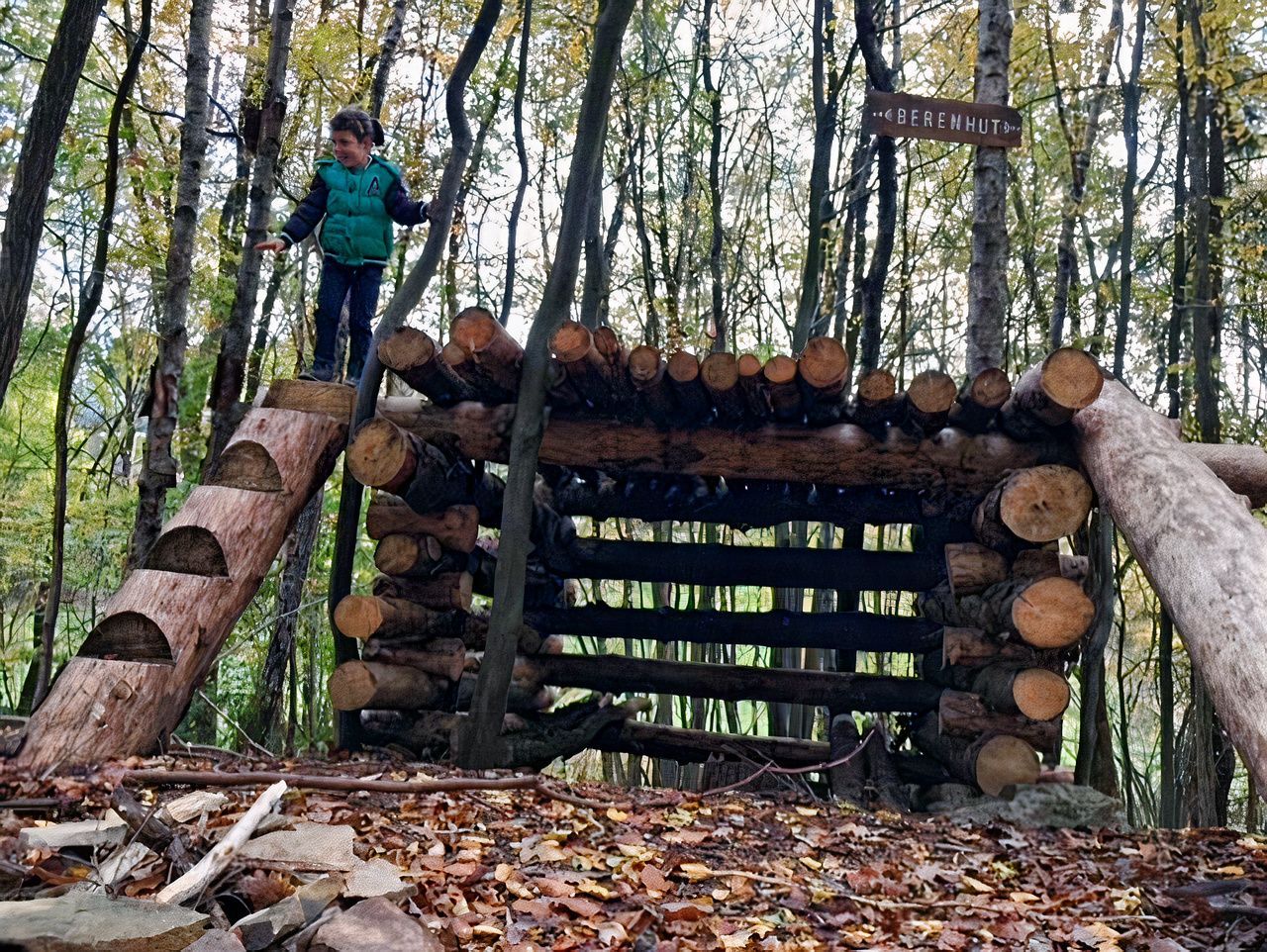 Un garçon se tient debout au sommet d'un tas de bûches dans les bois.