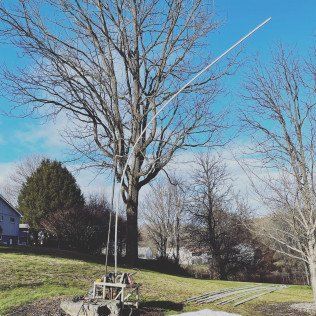 A tree with a metal pole attached to it is sitting on top of a grassy hill.
