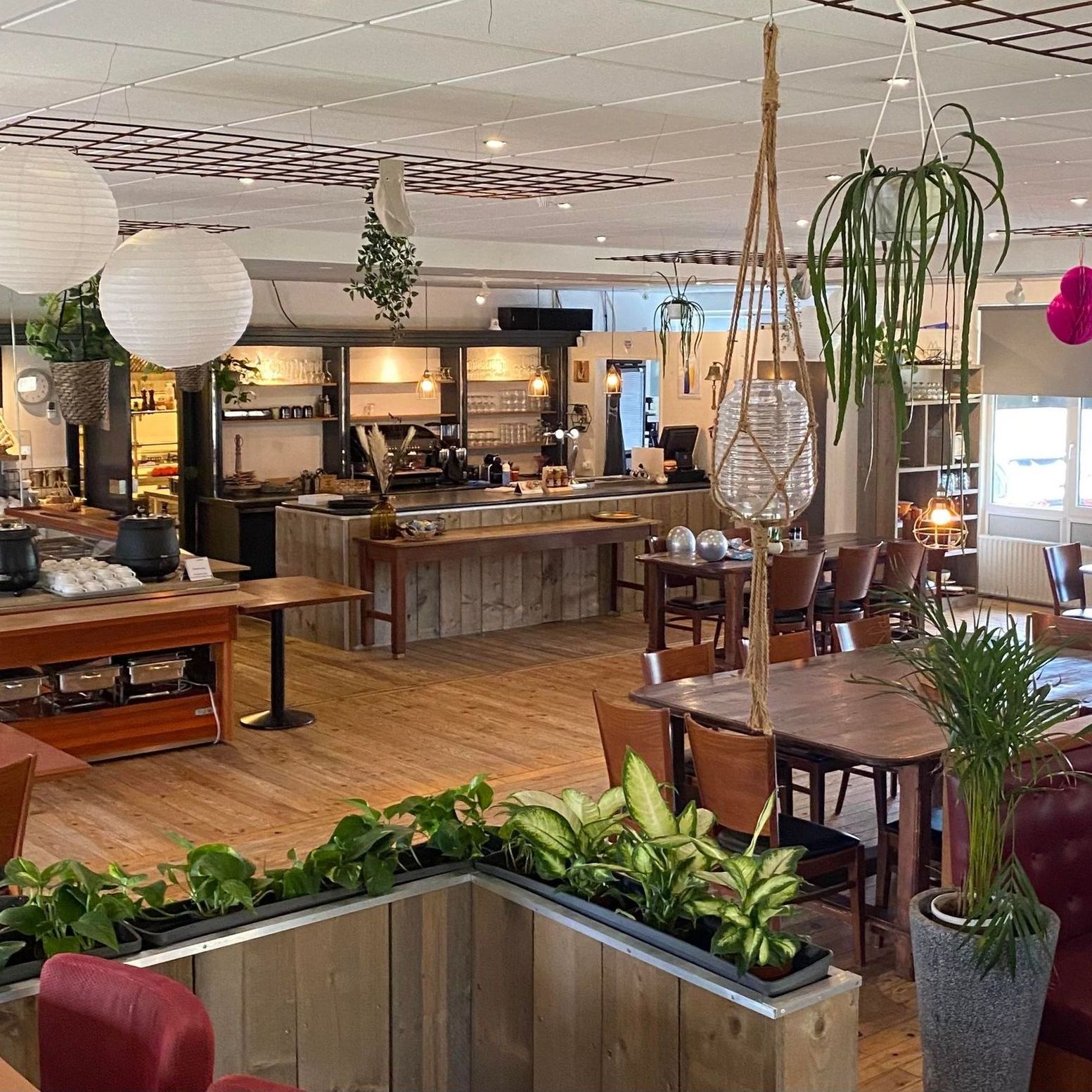 Een restaurant met tafels, stoelen en planten die aan het plafond hangen