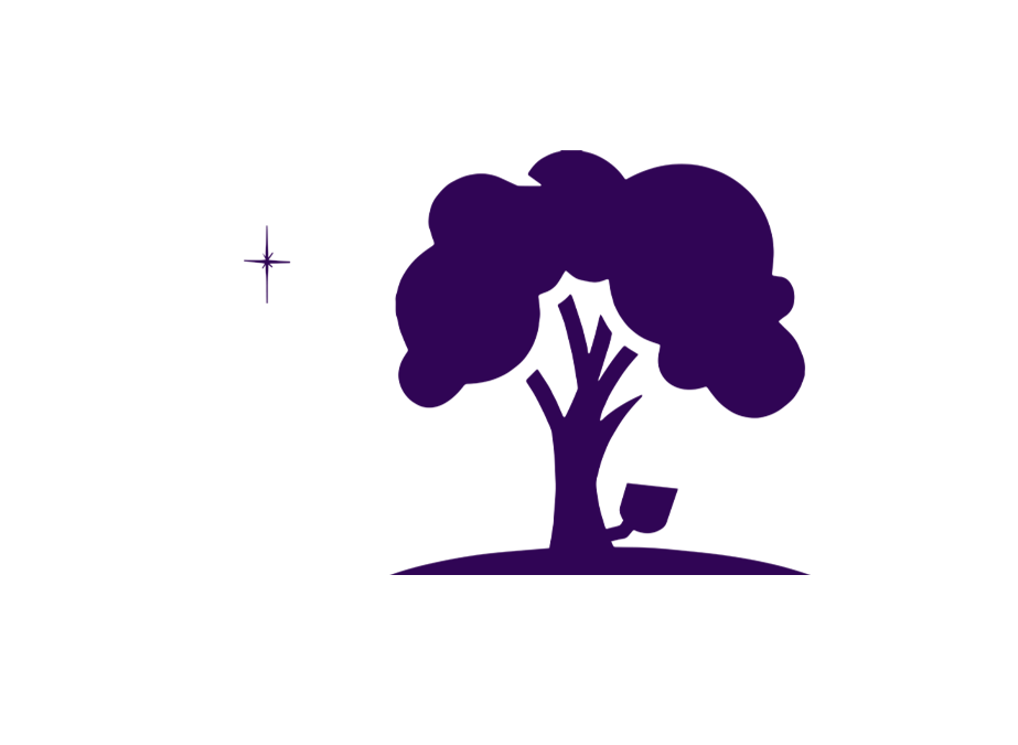 Forever Dusk Lighting logo