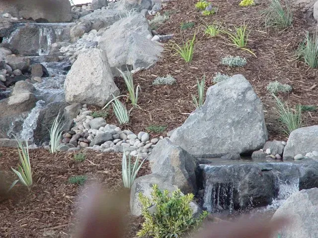 A waterfall is surrounded by rocks and plants in a garden.