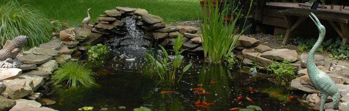 There is a pond with fish and a waterfall in the background.