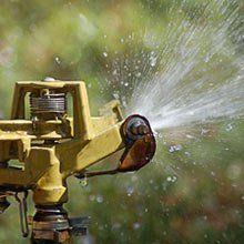 A close up of a sprinkler spraying water in a garden.