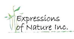 Expressions of Nature Inc.