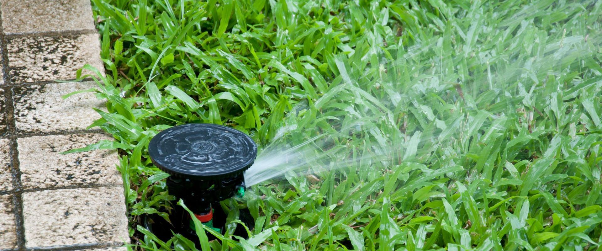 A sprinkler is spraying water on a lush green lawn.