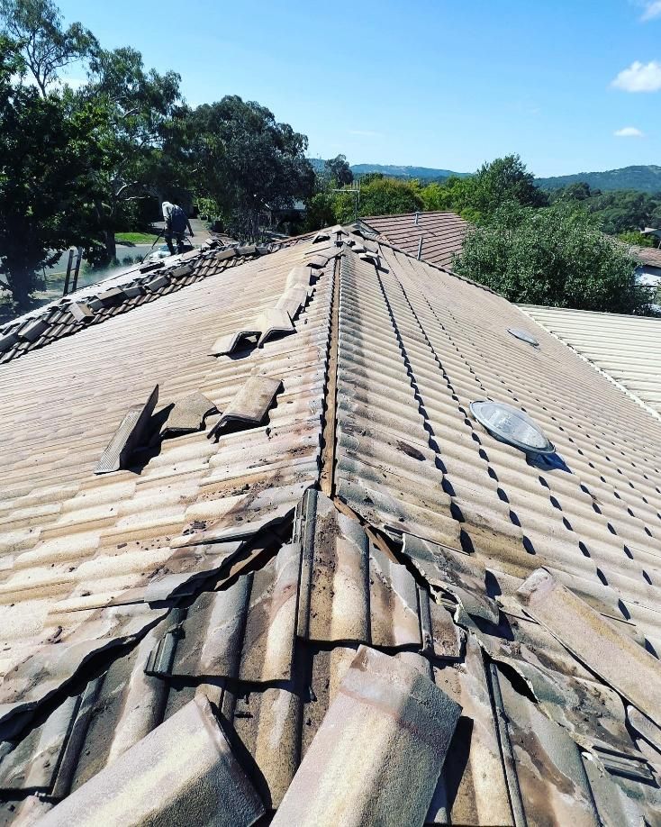 A Roof With A Lot Of Tiles On It And Trees In The Background — Blue Painting & Decorating In Taylor, ACT