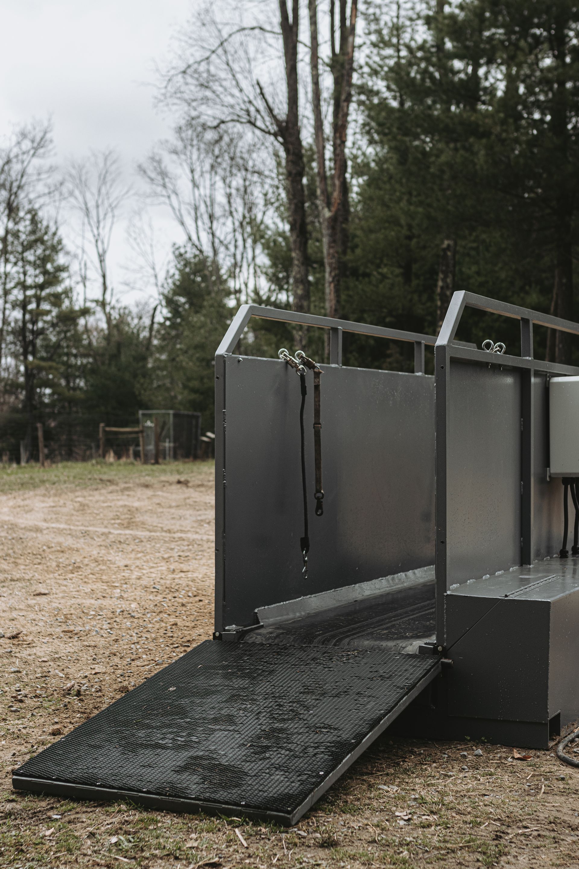 Equestrian treadmills for horse training, horse physiotherapy and rehab in America