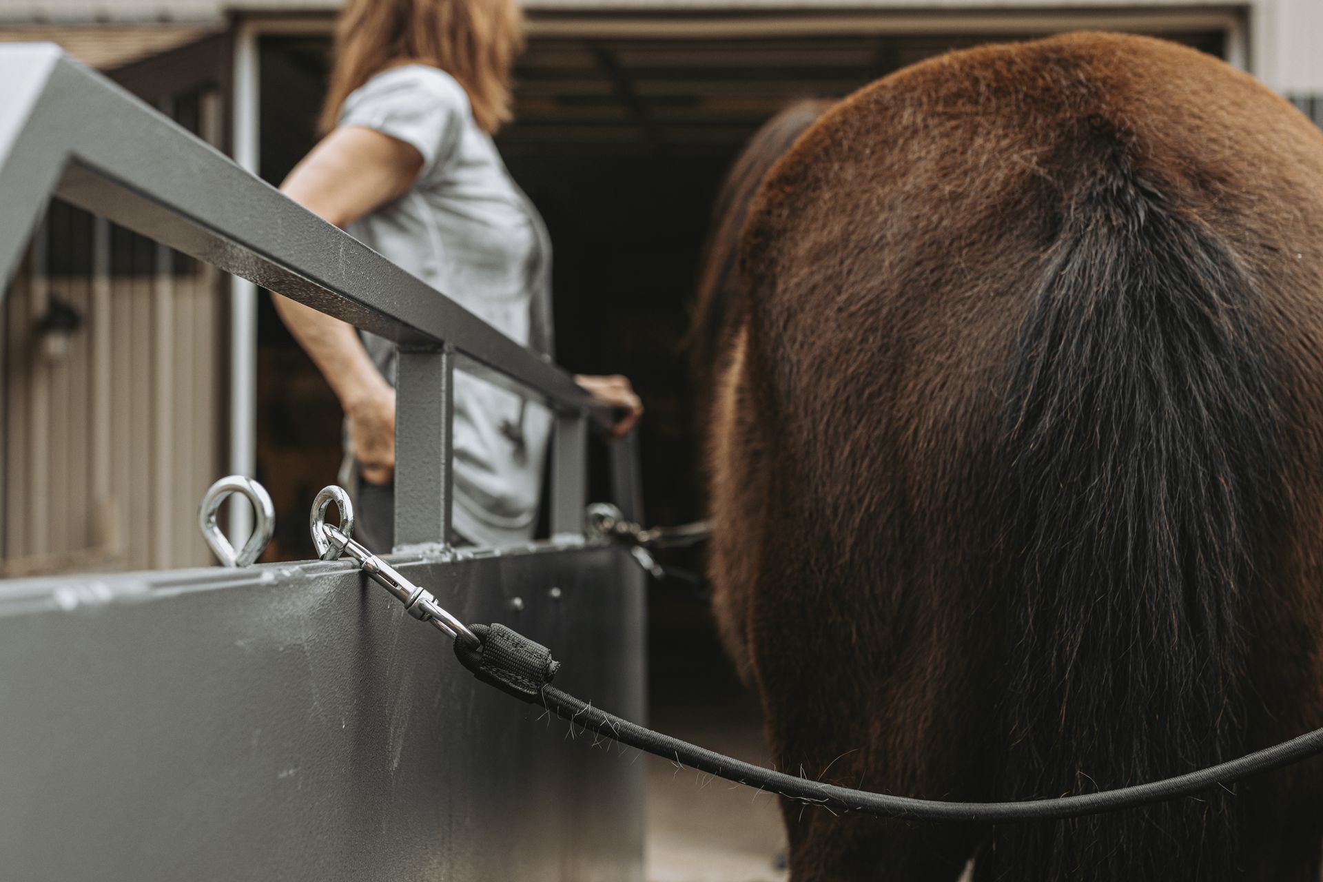 Enhance Horse Well-Being | Treadlite Horse Treadmills