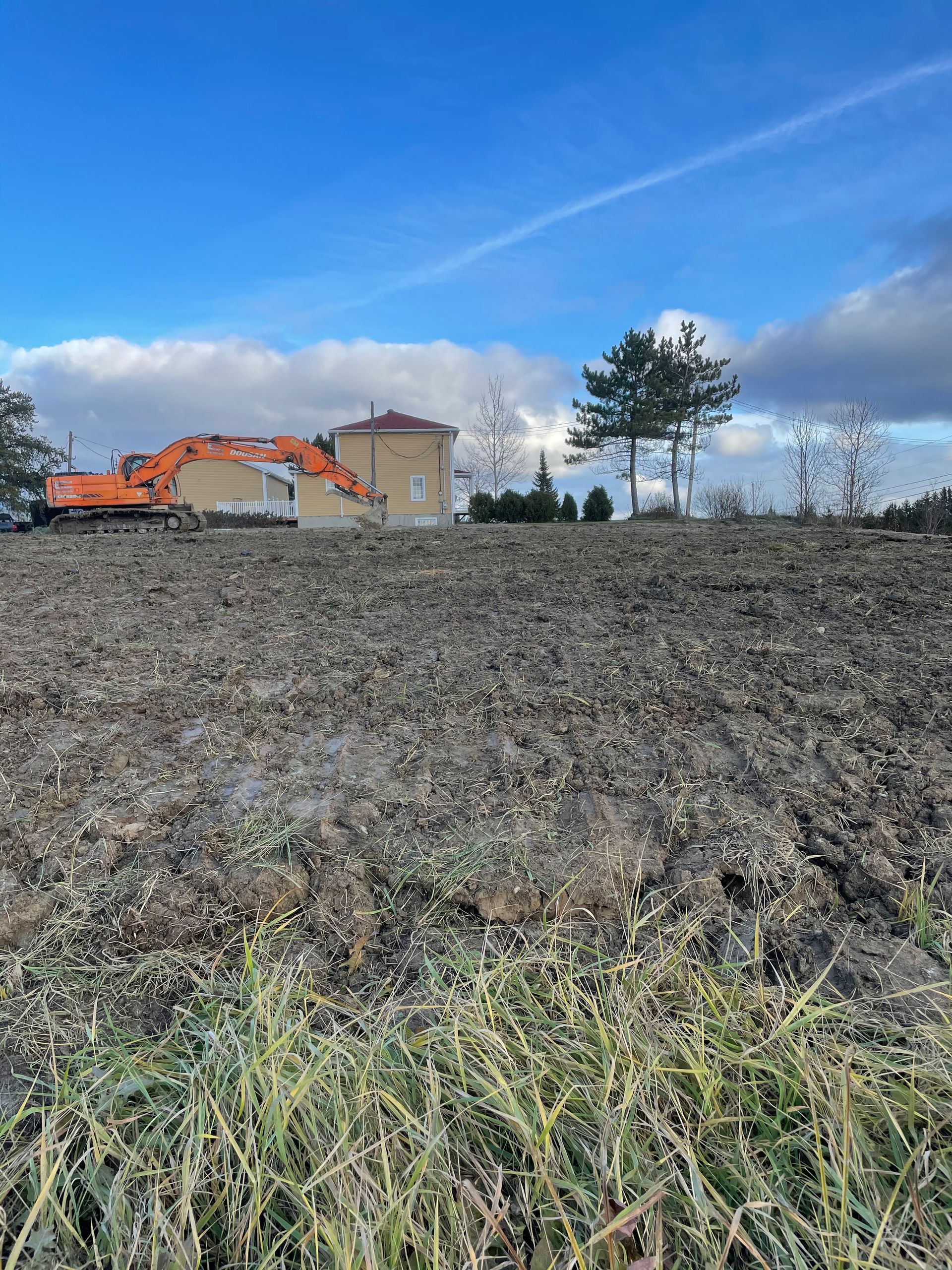 Un grand champ avec une maison en arrière-plan et des arbres au premier plan.