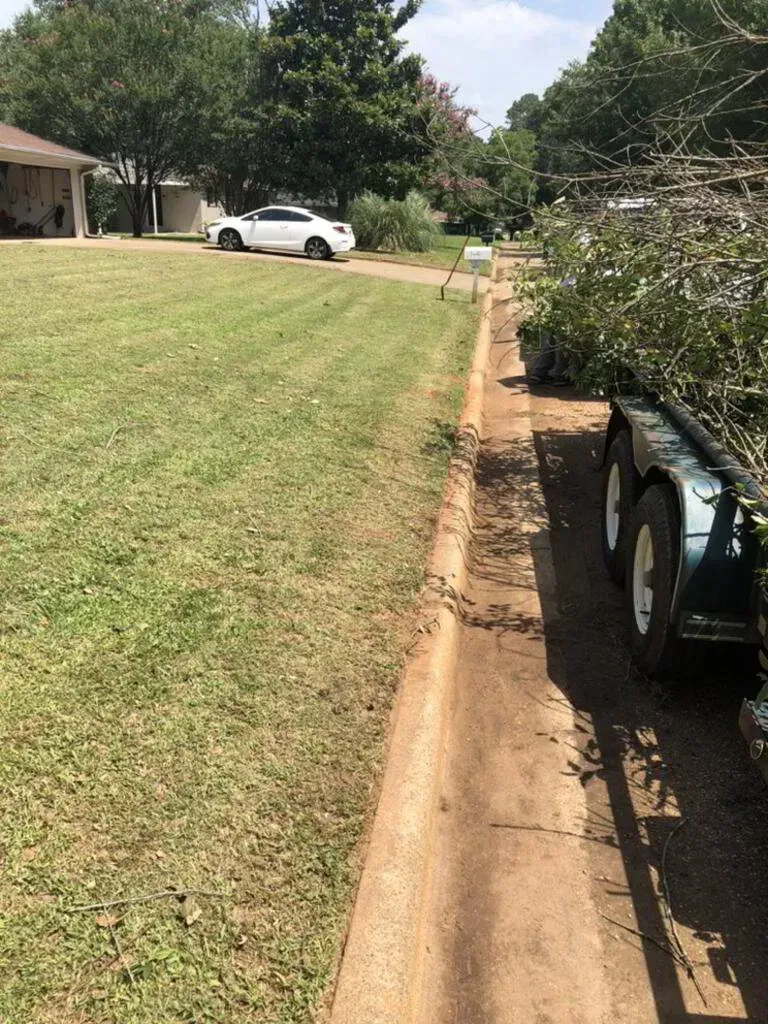 Lawn with concrete border, trailer with branches. White car parked on driveway, house in background.