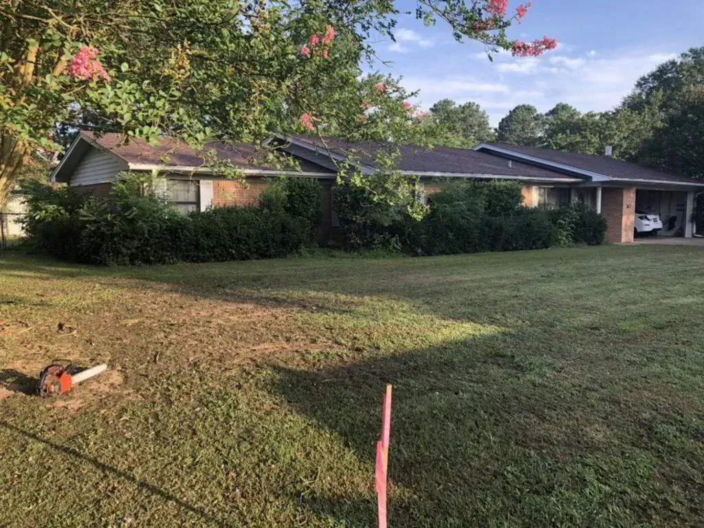 A one-story brick house with a green lawn and overgrown bushes. Carport on the right.