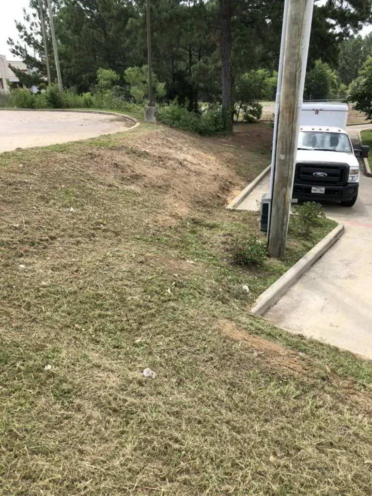 Grassy area with concrete curbs, power pole, and parked truck; trees in background.