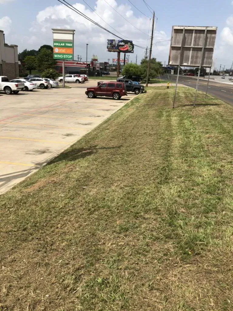 Grassy roadside slope next to a parking lot with cars and a multilane street.