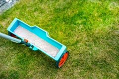Blue lawn spreader dispensing granular fertilizer on green grass.