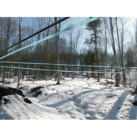 Limlaw Family Maple Farm