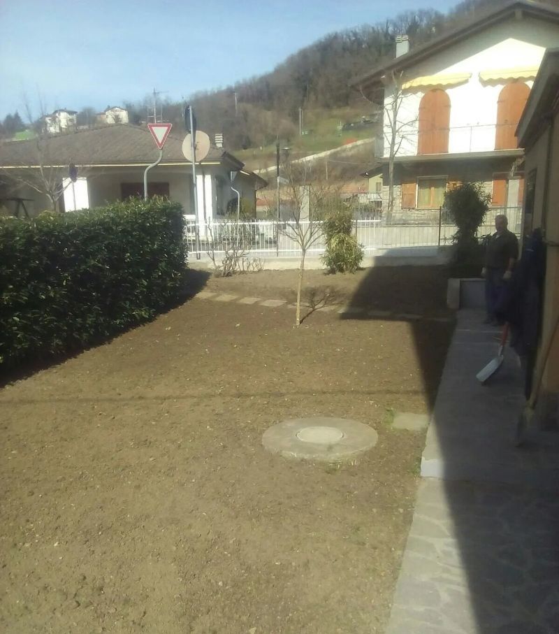 giardino con siepe curata e albero spoglio