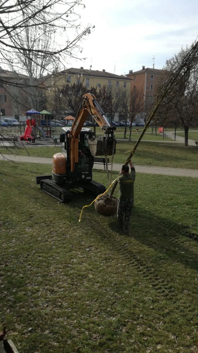 lavoro di giardinaggio in un parco pubblico