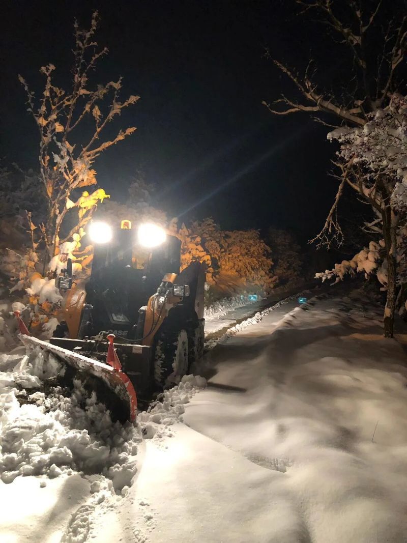 rimozione neve da un vialetto