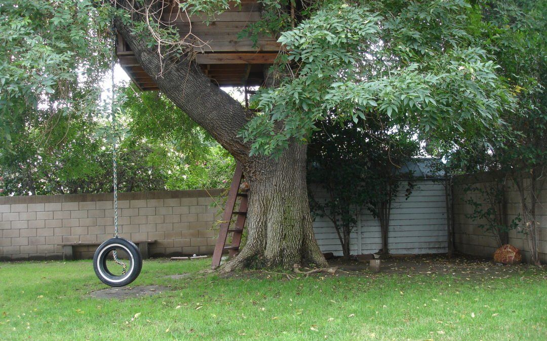 Estimate to Remove Old Oak Tree over House : r/arborists