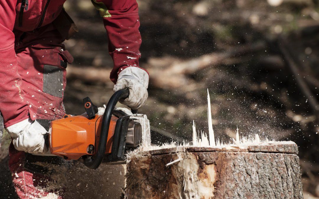 Forestry-Worker-Cutting