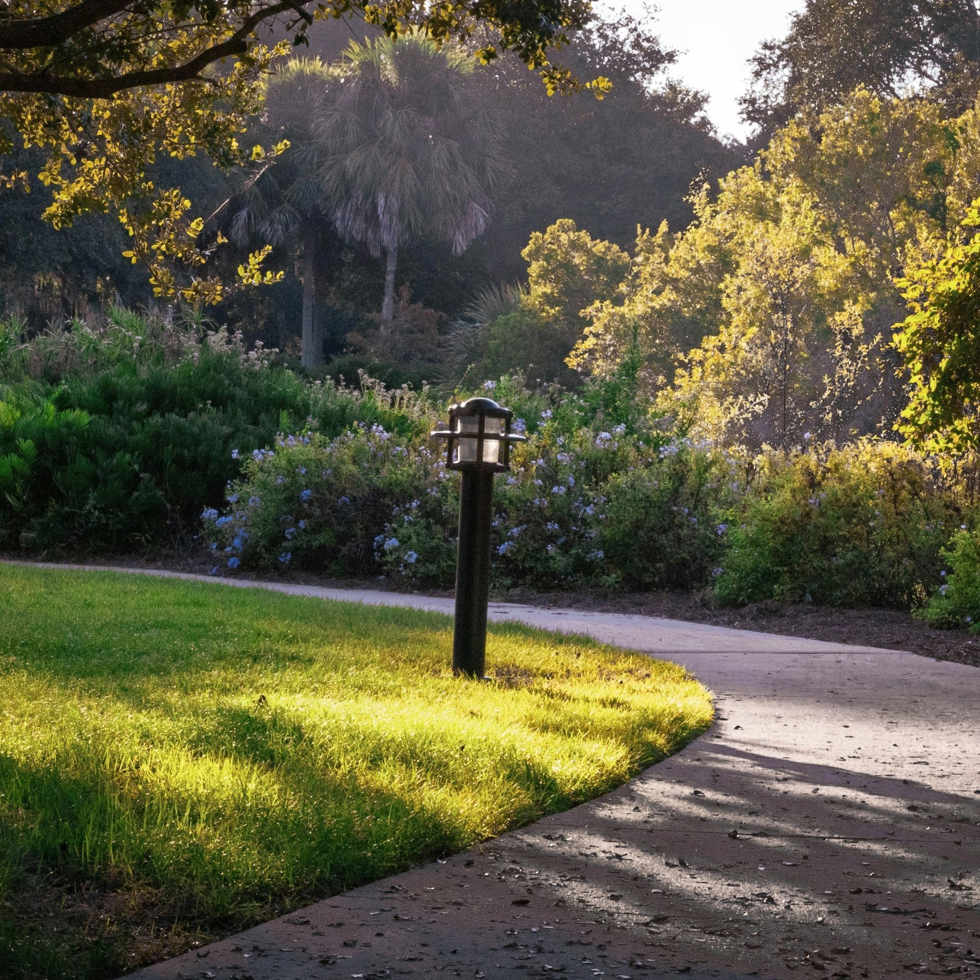 A lamp post on a grassy lawn next to a paved path in a lush, sunny garden.