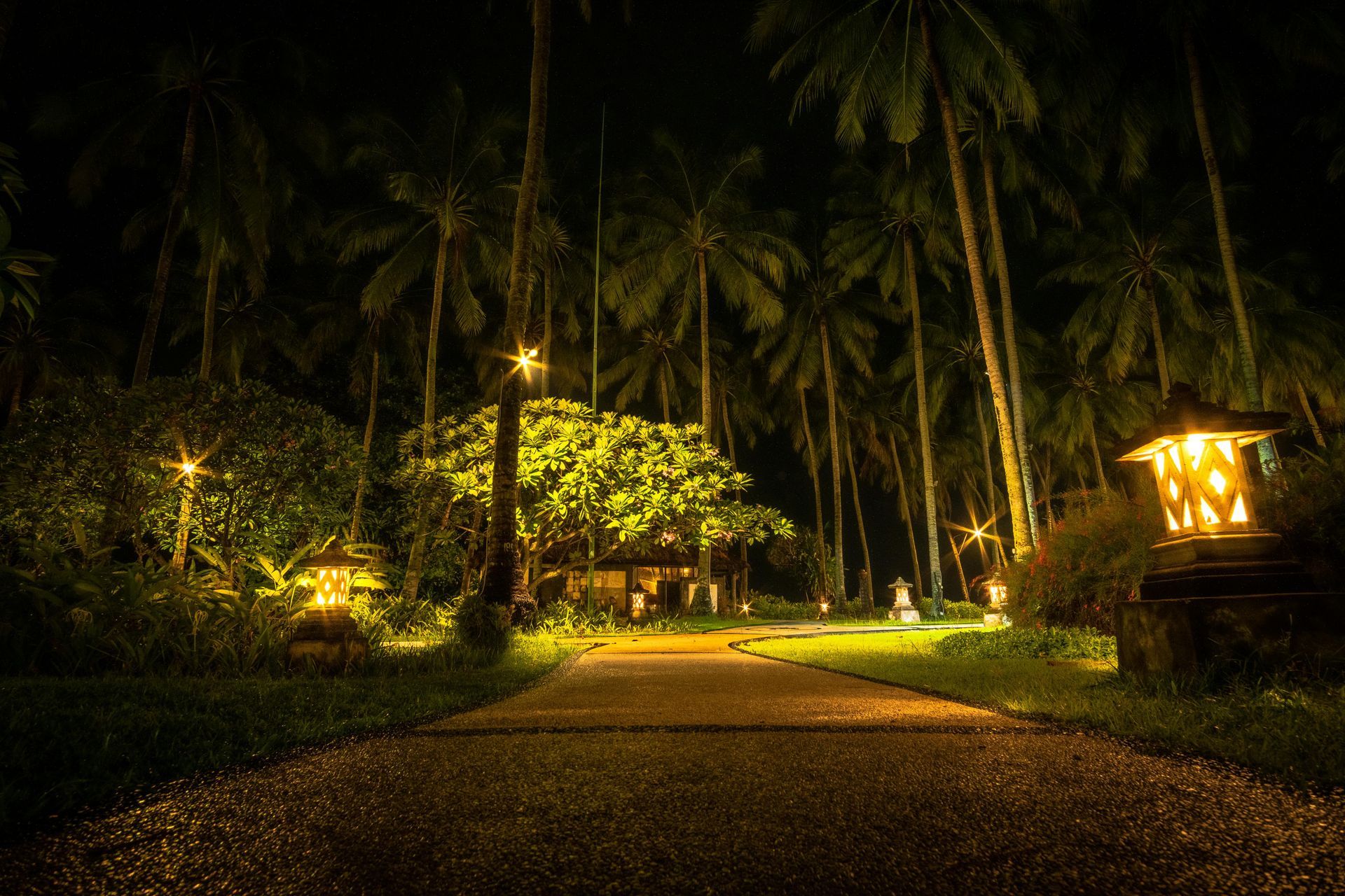 A stone path illuminated by lights leads through a dark tropical landscape with palm trees at night.