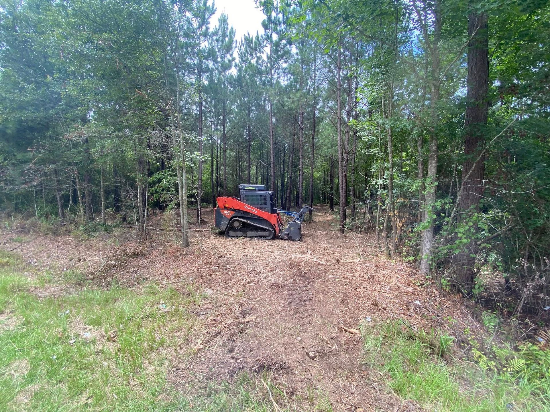 A red skid steer clearing a path through a wooded area; trees and foliage surround.