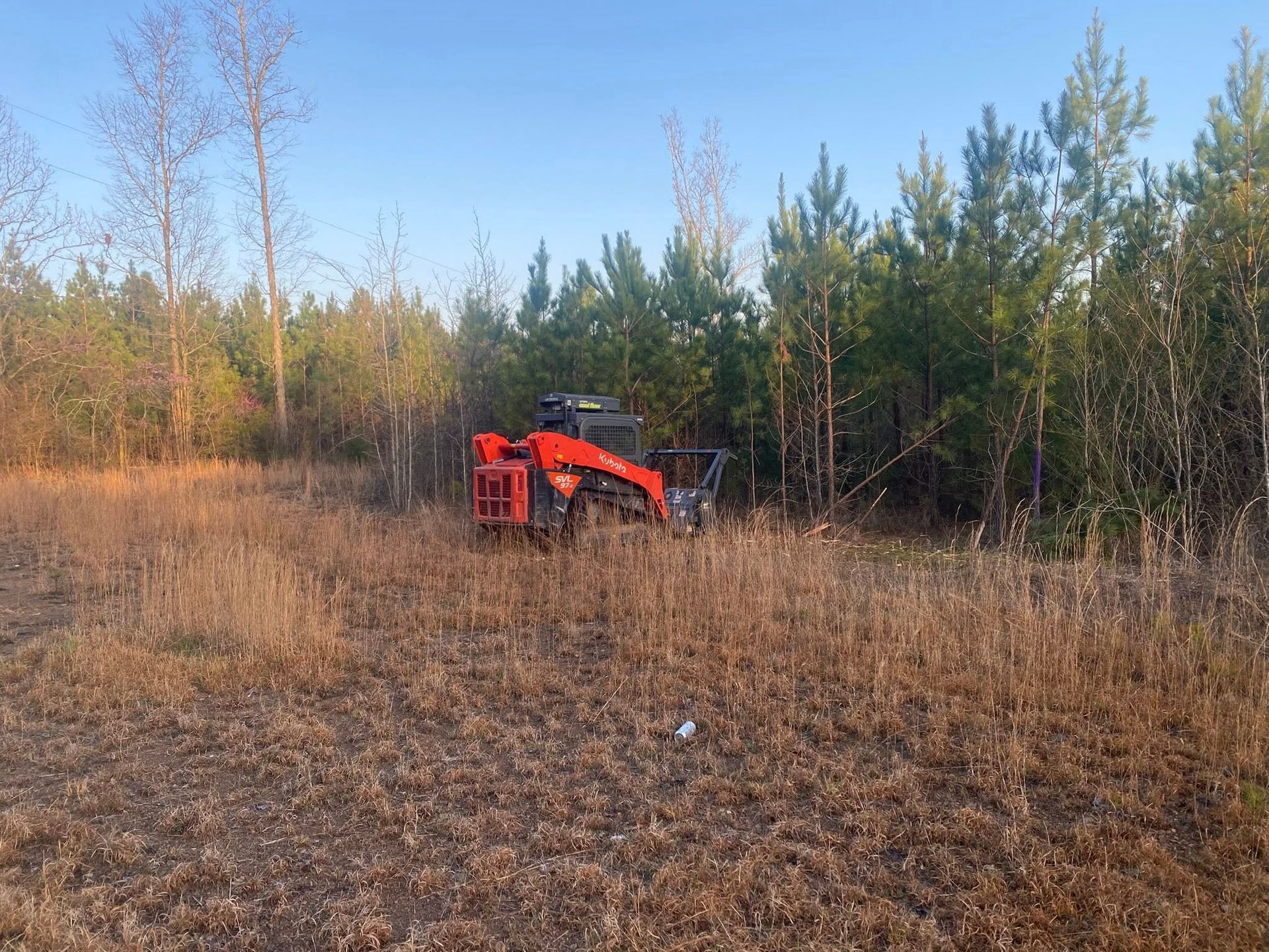 Orange skid steer in a field of tall grass near a stand of pine trees.