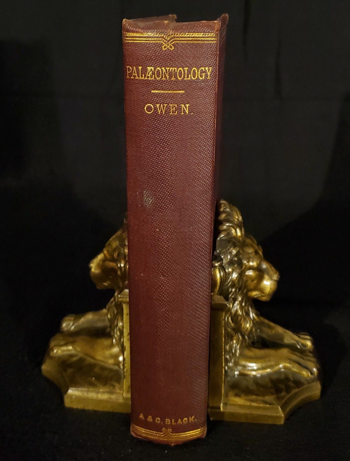 Palaeontology: Extinct Animals & Geological Relations ~ By Richard Owen ~ 1860